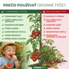 Kép 7/8 - Rúd GS2 2000/7 mm, spirális, drót, zöld, növény- és paradicsomtámasztó