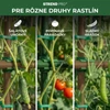 Kép 4/7 - Csatlakozó SC08, 8 mm, műanyag, kerti támasztórudakhoz, csomag 30 db