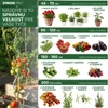 Kép 4/7 - Karó Garden KBT 1200/12-14 mm, csomag 10 db, bambusz, növénytámasz