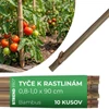 Kép 2/7 - Karó Garden KBT 900/8-10 mm, csomag 10 db, bambusz, növénytámasz