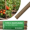 Kép 2/7 - Karó Garden KBT 1500/14-16 mm, csomag 10 db, bambusz, növénytámasz