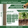 Kép 3/7 - Karó Garden KBT 2100/16-18 mm, csomag 10 db, bambusz, növénytámasz