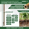 Kép 3/7 - Karó Garden KBT 600/6-8 mm, csomag 10 db, bambusz, növénytámasz