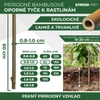 Kép 3/7 - Karó Garden KBT 600/8-10 mm, csomag 10 db, bambusz, növénytámasz