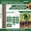 Kép 3/7 - Karó Garden KBT 1050/12-14 mm, csomag 10 db, bambusz, növénytámasz