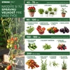 Kép 4/7 - Karó Garden KBT 1050/12-14 mm, csomag 10 db, bambusz, növénytámasz