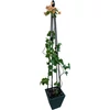Kép 2/2 - Növénytámasz Strend Pro, 4 lábú, 180 cm