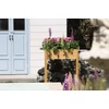 Kép 3/8 - Magaságyás Strend Pro Garden, 84x40x98 cm, fa, magasított, lábakkal
