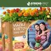 Kép 7/8 - Magaságyás Strend Pro Garden, 84x40x98 cm, fa, magasított, lábakkal