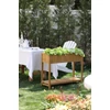 Kép 3/8 - Magaságyás Strend Pro Garden, 89x33x76 cm, alsó polccal, fa, magasított, lábakkal