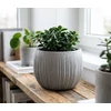 Kép 2/2 - Virágcserép BETON Bowl, 18x14 cm, szürke, beton hatású