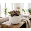 Kép 2/2 - Virágcserép SPLOFY Bowl, 290x195 mm, fehér