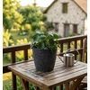 Kép 2/2 - Virágcserép Strend Pro Stone, 23x20,5 cm, fekete, kő hatású