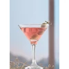 Kép 2/2 - Pohár LAV Misket, üveg, martinihez, 175 ml, 107x148 mm, 6 db-os csomag