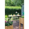 Kép 3/5 - Sörpad készlet DORTMUND Mini3, asztal 117x56x76,5 cm, 2x pad 117x25x46,5 cm, fa 27 mm