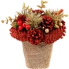 Kép 1/2 - Ikebana MagicHome Karácsony, természetes, piros, 17x17 cm