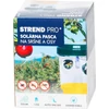 Kép 3/5 - Rovarcsapda Strend Pro, napelemes