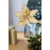 Kép 2/3 - Virág MagicHome, Karácsonyi Mikulásvirág, arany, 30 cm, virágméret: 20,5 cm