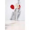 Kép 2/2 - Virág MagicHome, Karácsonyi rózsa, krémszínű, 17 cm, virágméret: 9 cm0501000030218
