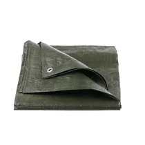 Lev takaróponyva 2x2m, zöld, 70g/m2