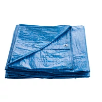 Lev takaróponyva 10x15m, kék, 60g/m2