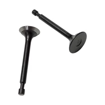 Szelepes készlet fűnyíróhoz Strend Pro QL46PD-139, benzines, 2,4 kW