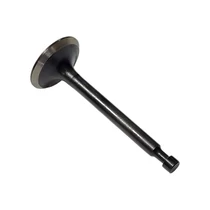 Szívószelep rotációs kapálógéphez Strend Pro QK60 3Q4095