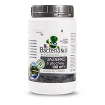 Aktivátor Mr.Bacteria No.13, 100m2+ felületű tavakhoz, 1000 g