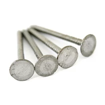 Szög lemez 25x2,5 mm, Fe, csomag 2.5 kg