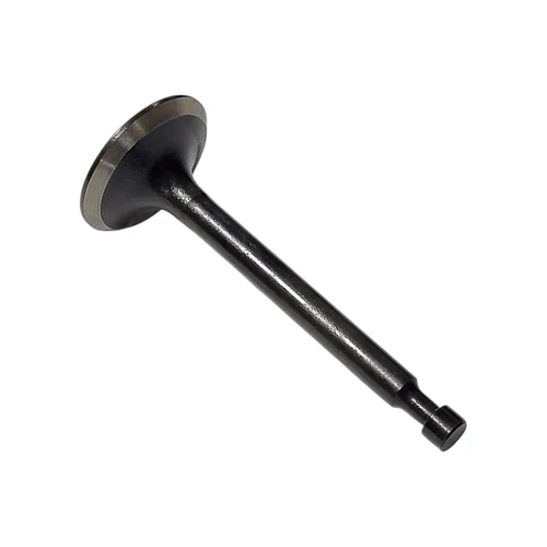 Szívószelep rotációs kapálógéphez Strend Pro QK60 3Q4095