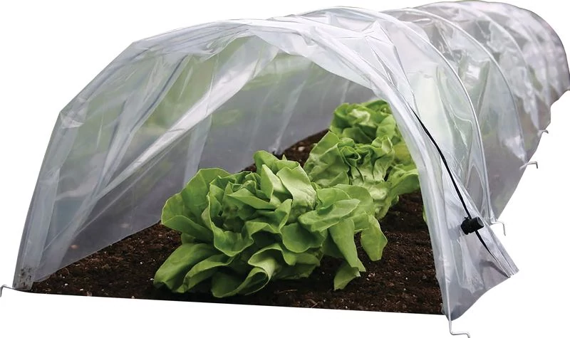 Palántázó Strend Pro Greenhouse, mini fóliasátor, 55x600x40 cm