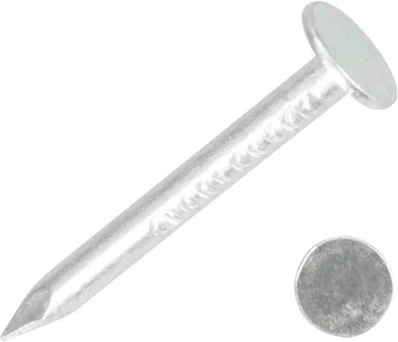 Szög 2825 30x3,10 mm, lemez, horganyzott, csomag 5 kg